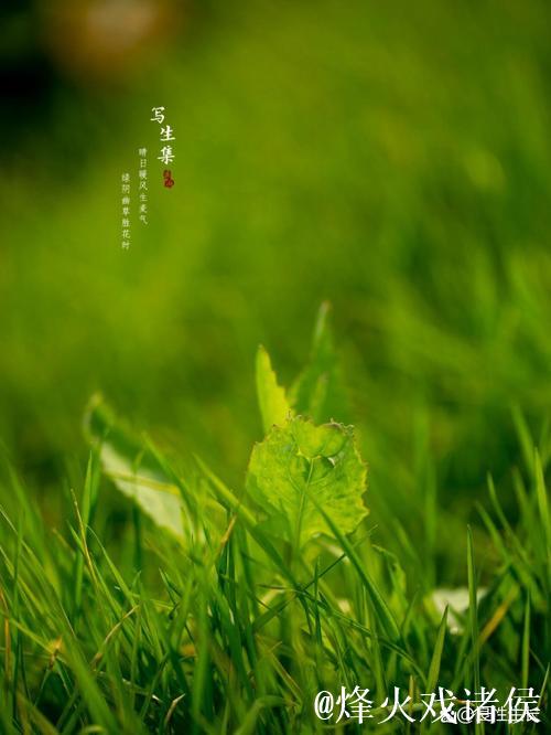 久草青青草 久草青青草