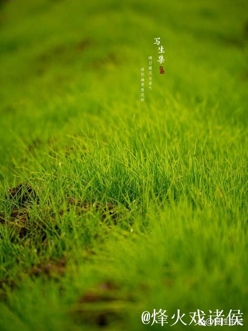 久草青青草 久草青青草