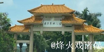 青青草乐园:打造属于你的绿色梦想天地 青青草乐园:打造属于你的绿色梦想天地