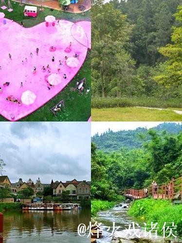 青青草乐园:打造属于你的绿色梦想天地 青青草乐园:打造属于你的绿色梦想天地